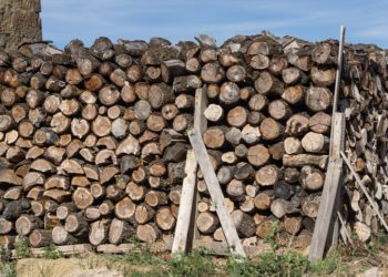 how much does a cord of wood weigh