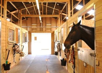 How much does it cost to build a horse pen?