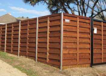 What is the best type of wood for a fence?