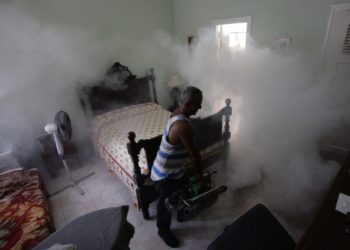 Can I fumigate my house myself?