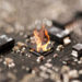 What causes furnace circuit board failure?