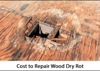 How much does it cost to fix dry rot?