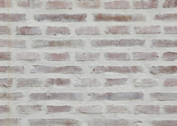 Can you whitewash outside brick?