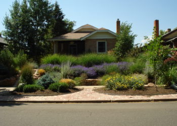 how to plan a xeriscape yard