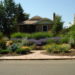 how to plan a xeriscape yard