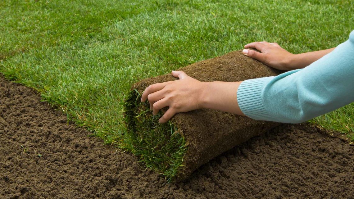 how-much-is-a-roll-of-sod-at-home-depot