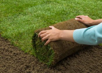 How much does marathon sod cost?