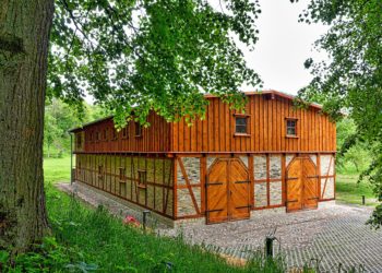 how much is it to build a shed
