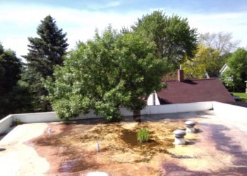 flat roof maintenance