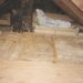how thick is r38 batt insulation