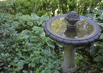 How do you clean and seal a concrete bird bath?