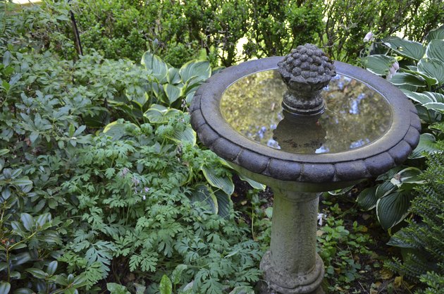 How do you clean and seal a concrete bird bath?