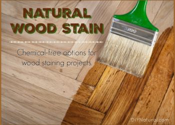 natural wood varnish