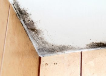 how to get black mould off bathroom ceiling