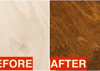 staining birch plywood
