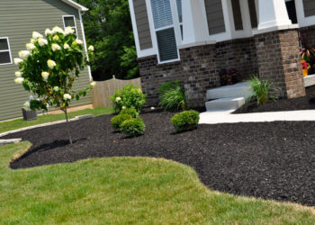 Is black mulch better than Brown?