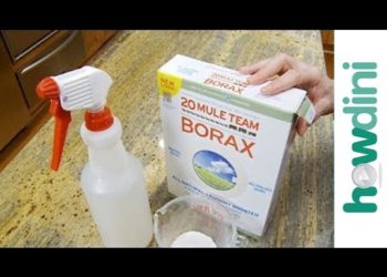 how does borax kill mold