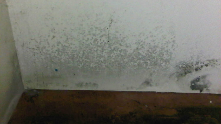 wall getting wet