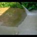 how to clean green stuff off concrete