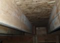Is mold on floor joists dangerous?