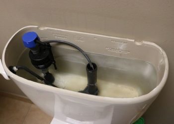 Are you supposed to clean your toilet tank?