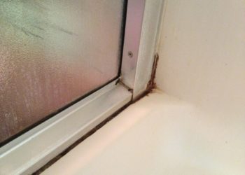 mold behind shower caulk