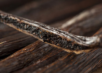 vanilla bean where does it come from