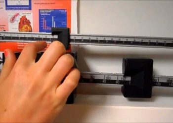 How does the weight gurus scale work?