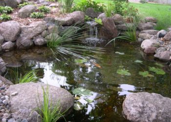 average cost of pond cleaning