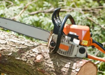 what cc chainsaw do i need