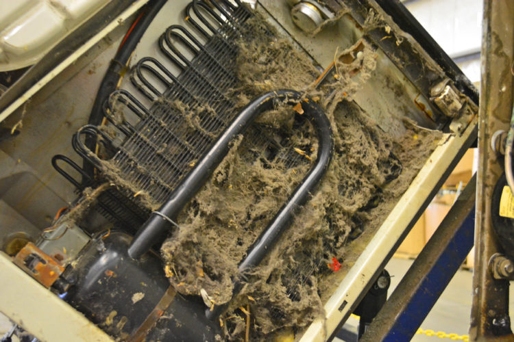 fridge condenser coils not hot