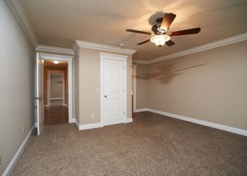 wall and carpet colors