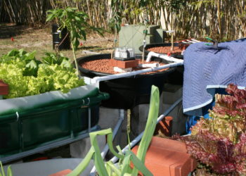 hydroponics aquaponics difference