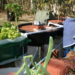 hydroponics aquaponics difference