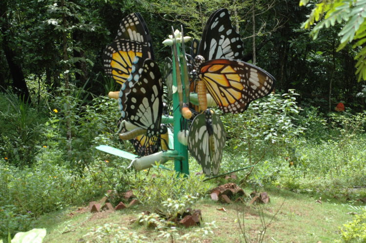 putting up a butterfly house