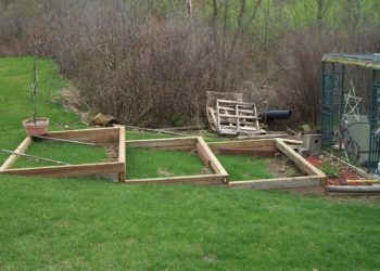 building a tiered garden