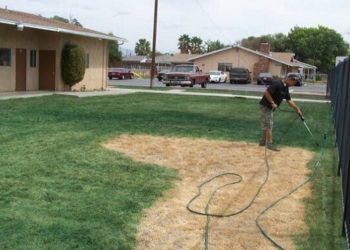 how to make lawn paint