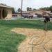 how to make lawn paint