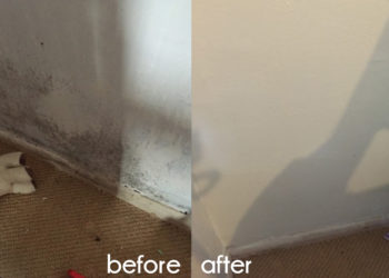 Does anti condensation paint work?