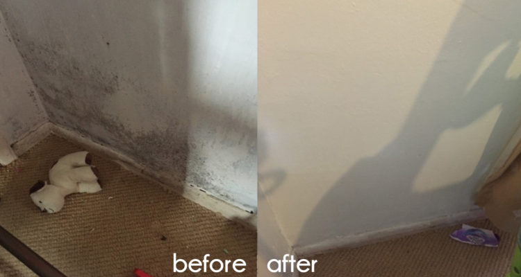 Does anti condensation paint work?