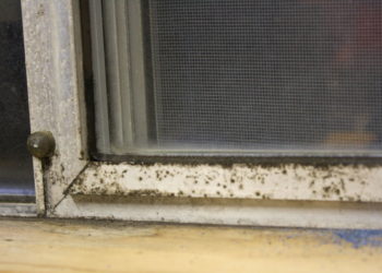 how to clean aluminium doors and windows