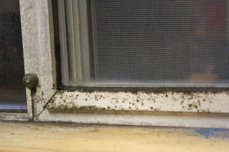 how to clean aluminium doors and windows