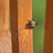 how to protect wood from carpenter bees