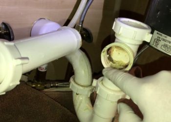 garbage disposal not draining unless turned on
