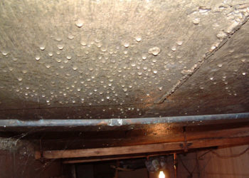 condensation on basement floor