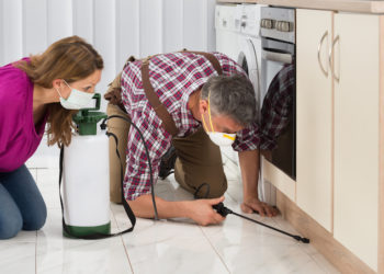 how to get rid of roaches without an exterminator