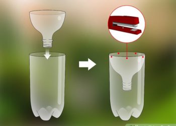 how to make a bee trap