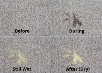 Can I use color safe bleach on my carpet?