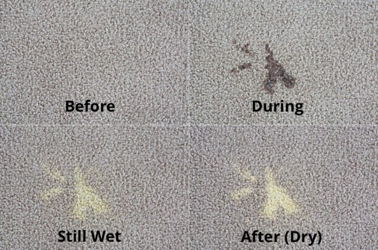 Can I use color safe bleach on my carpet?