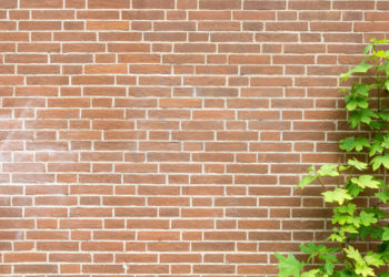 painting over chipped paint